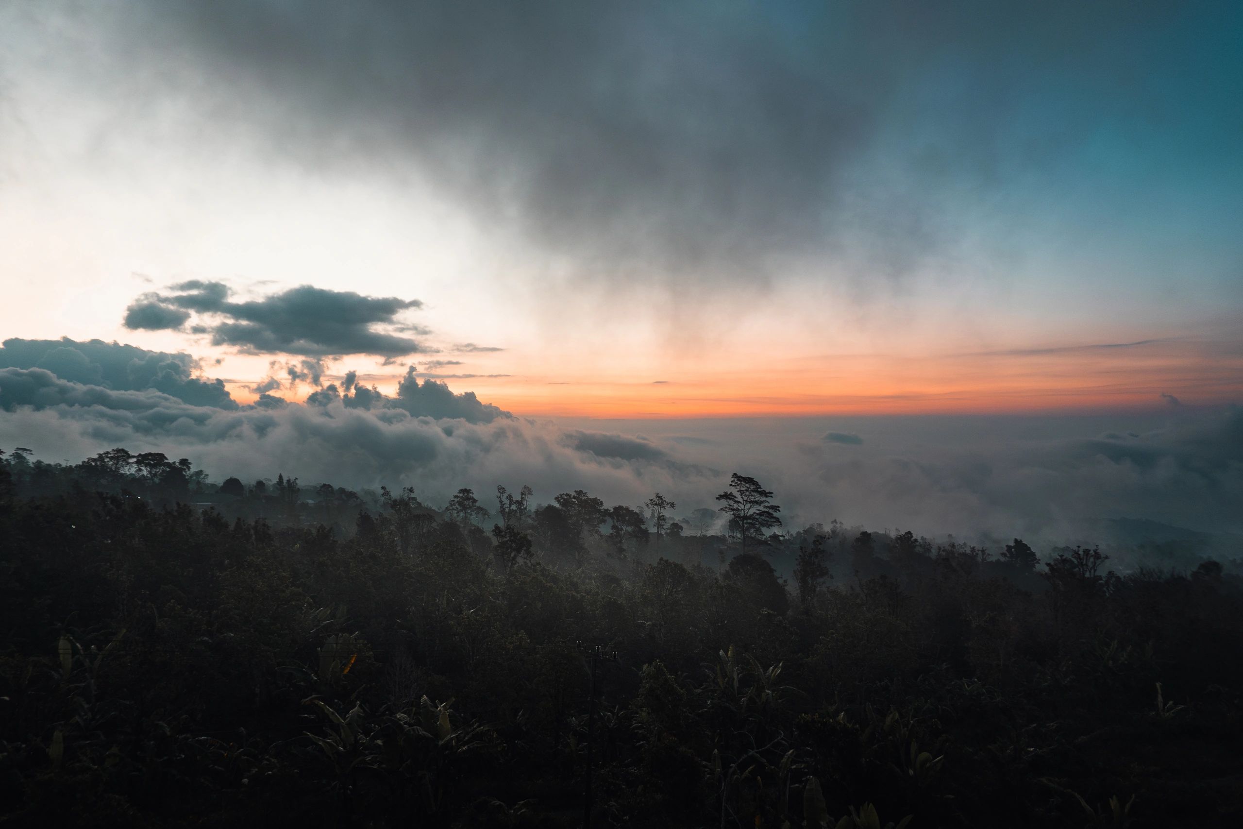 Dramatic Golden Sunrise Over a Forest Landscape